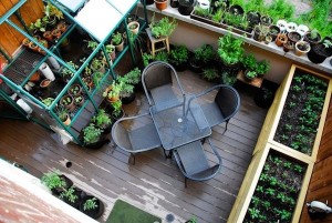 летний сад балконе