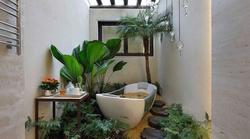 растения в ванной комнате