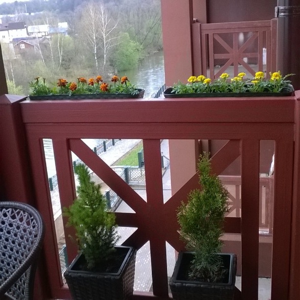 квіти на балконі фото