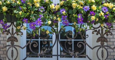 квіти для балкона петунії